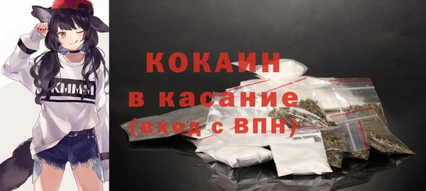 шишки Балахна