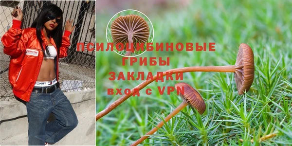 ешки Белоозёрский