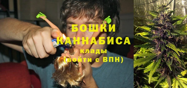 спиды Богданович
