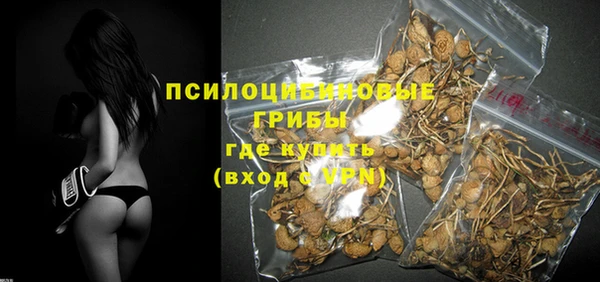 мдпв Богородицк